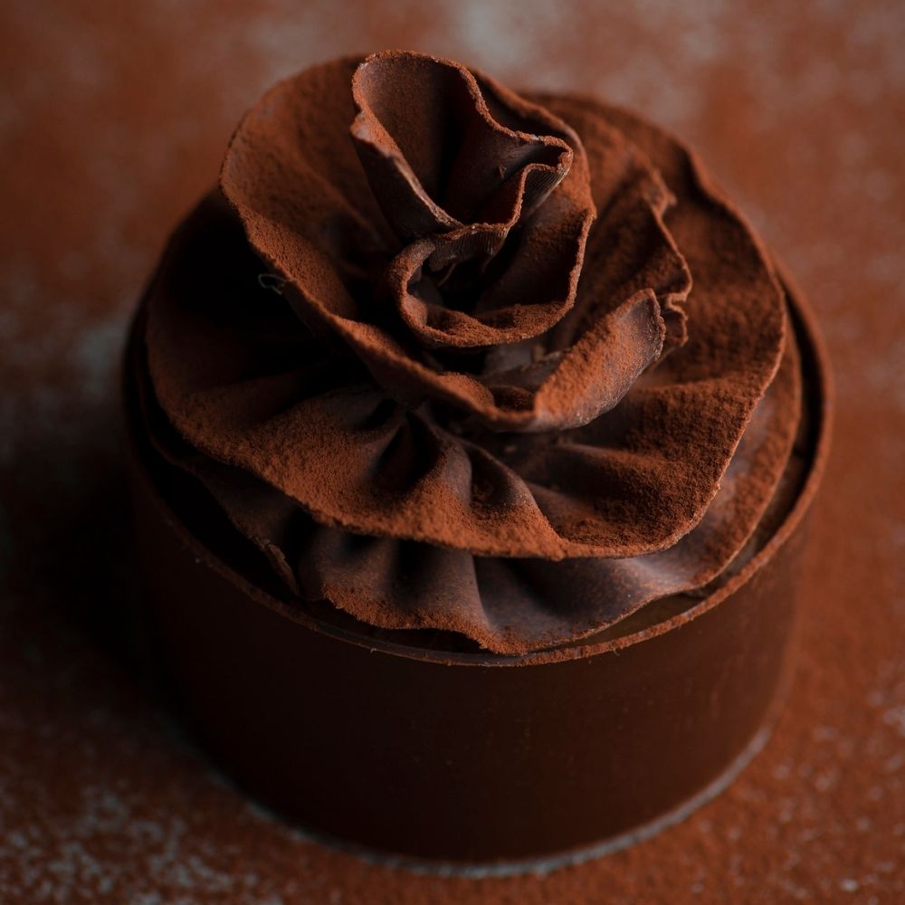 chocolate sponge cake