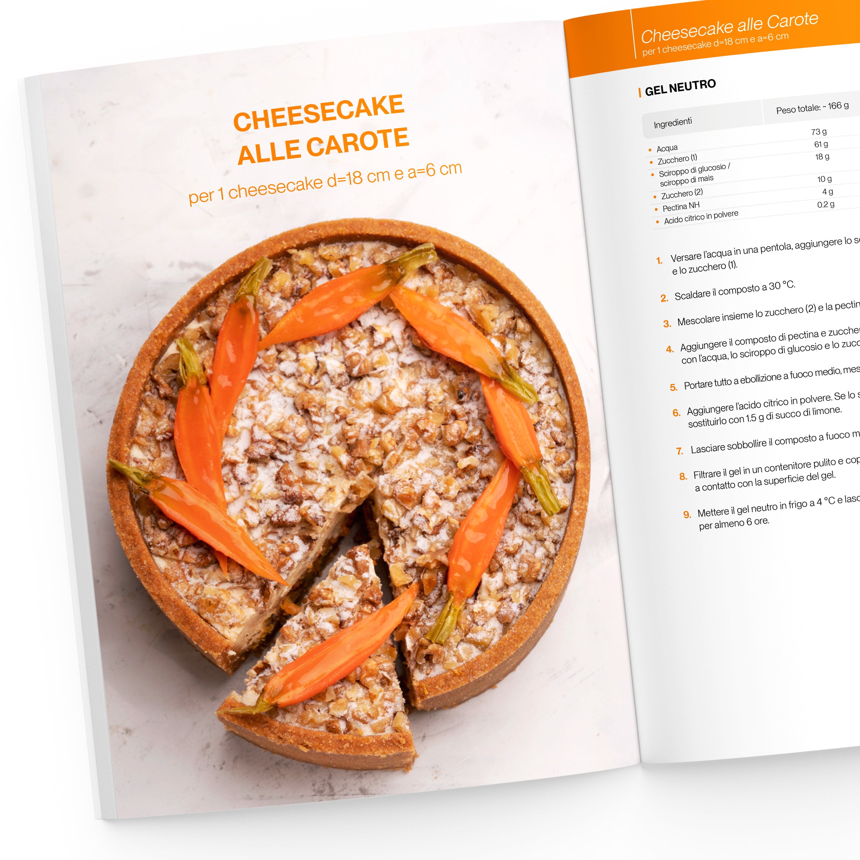 Il Grande Libro delle Cheesecake