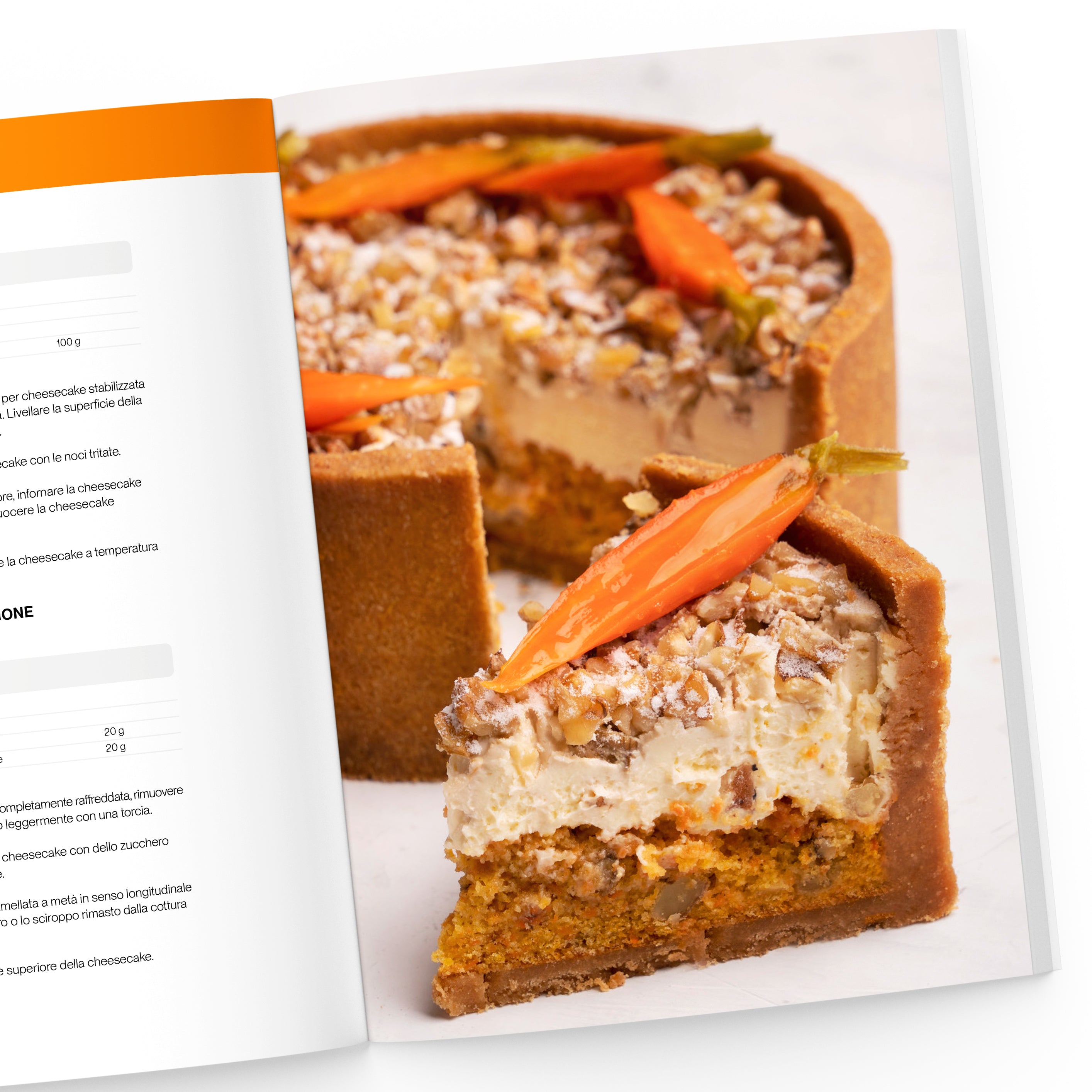 Il Grande Libro delle Cheesecake