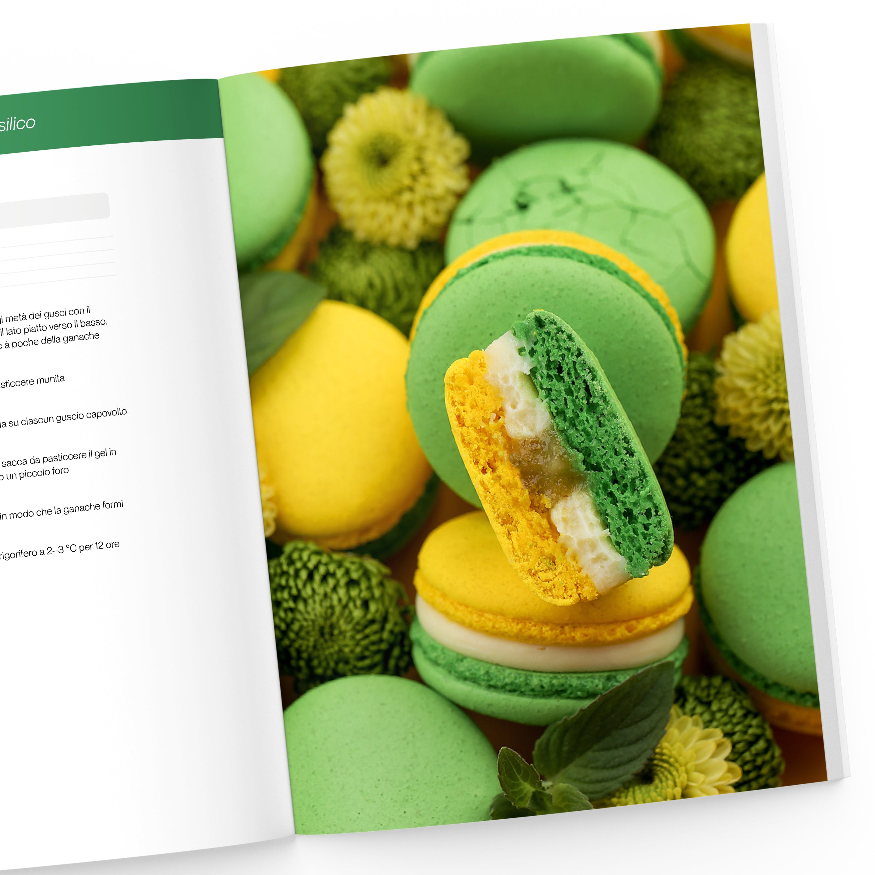 Il Grande Libro dei Macaron