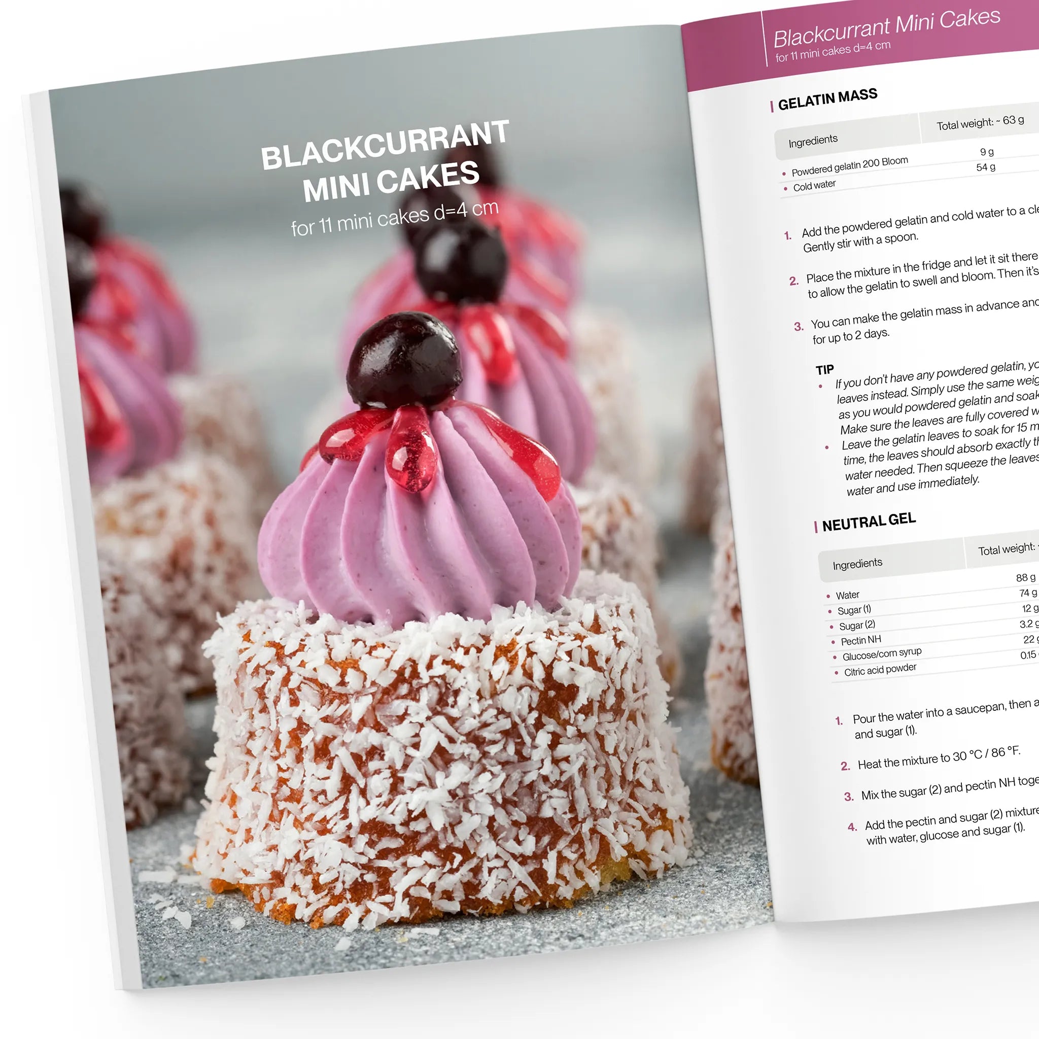 blackcurrant mini cakes