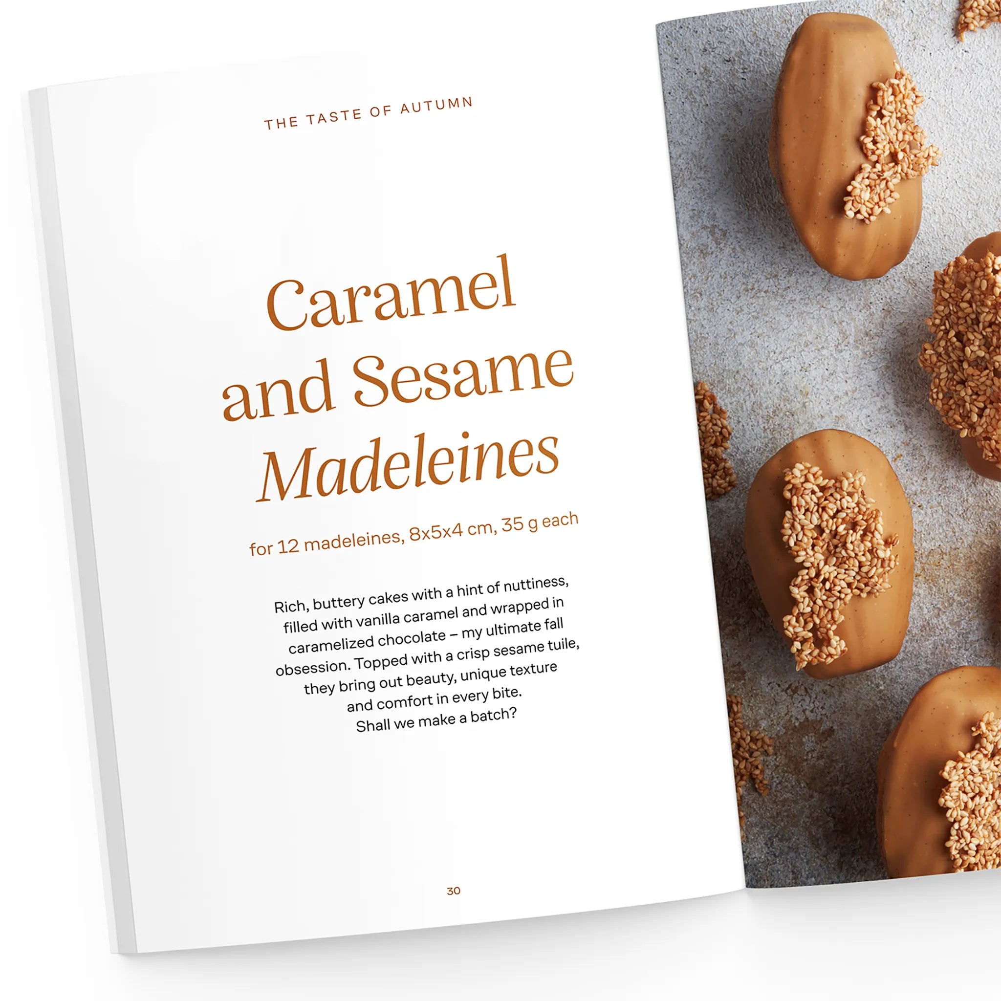 madeleines