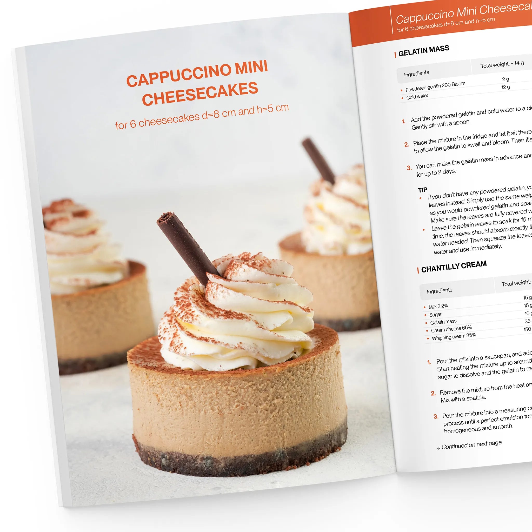 Cappuccino mini cheesecake
