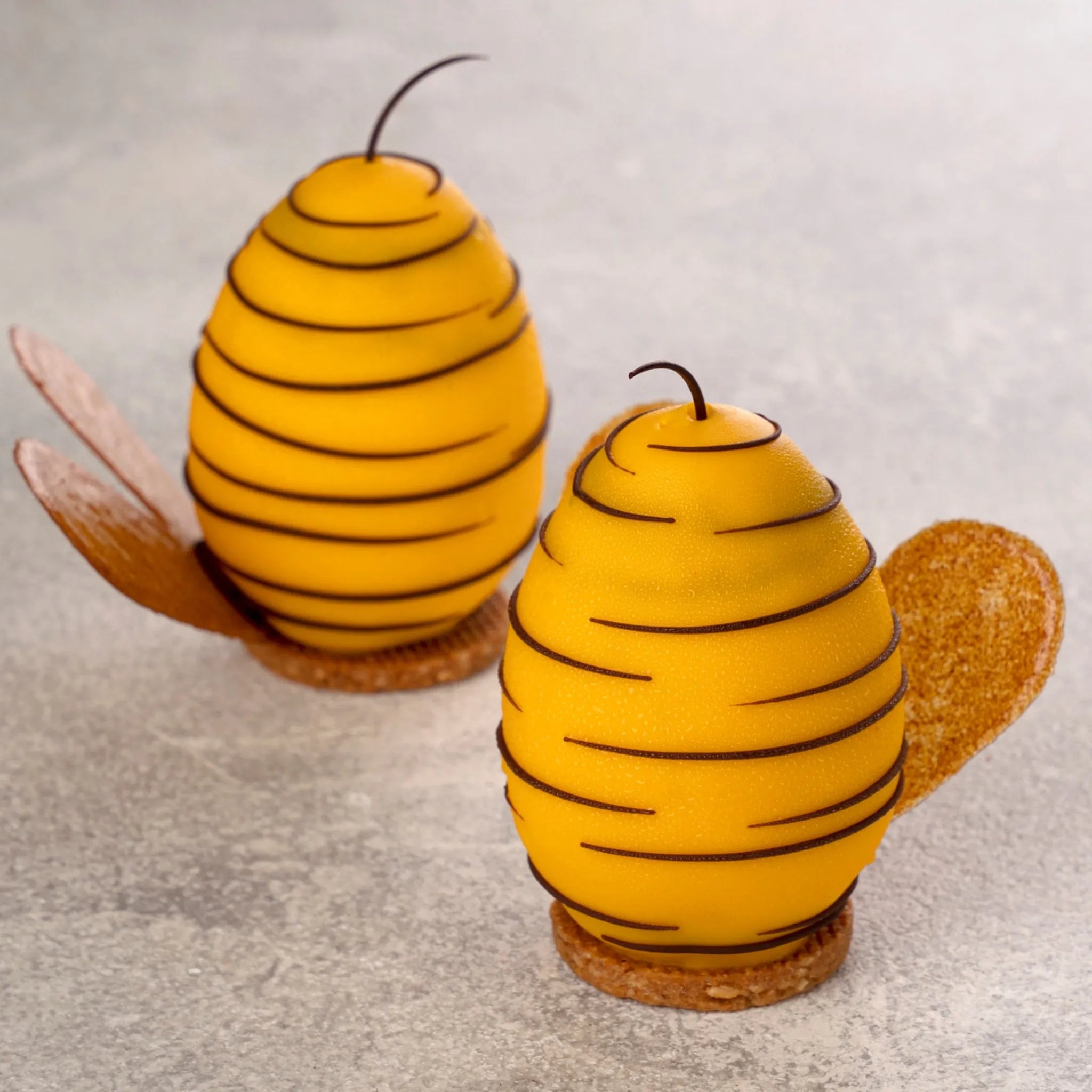 Bee Medovik by Nicolas Lambert Video Class