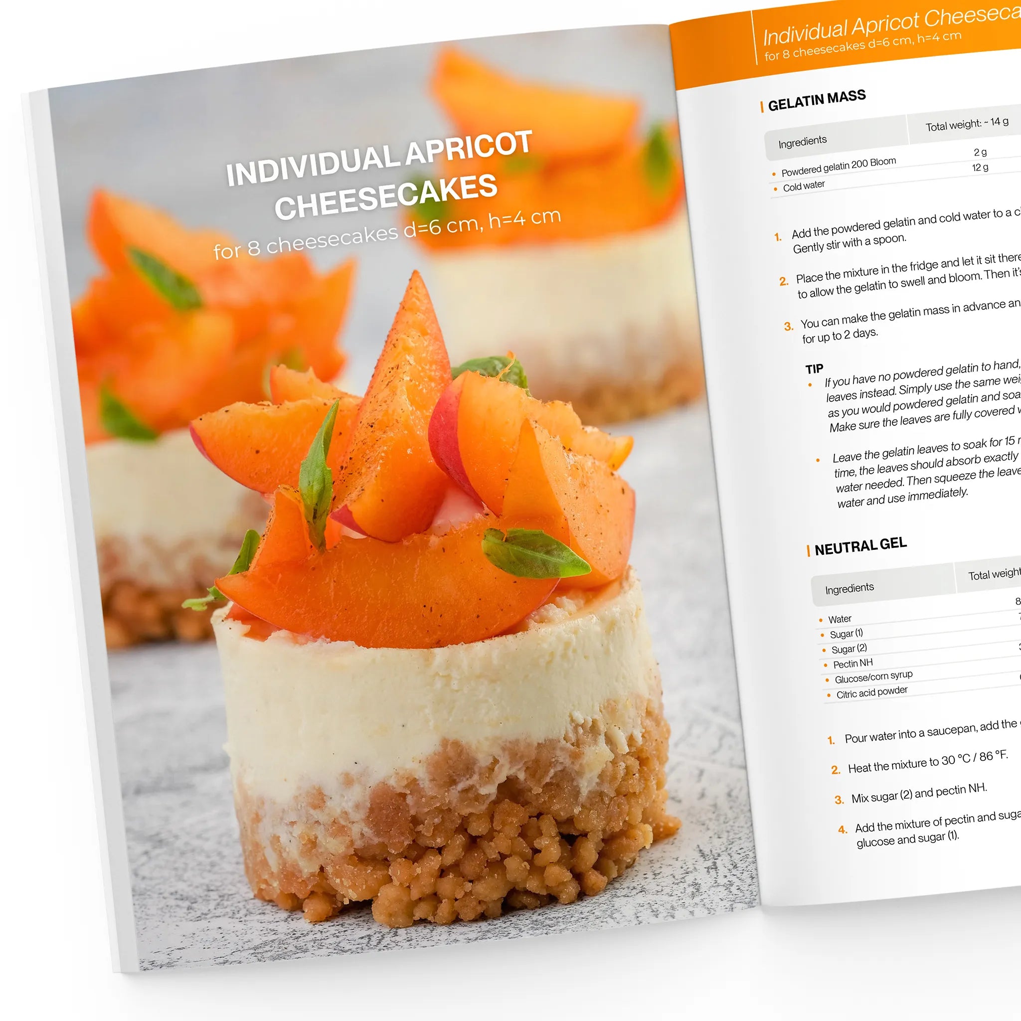 Individual apricot cheesecake