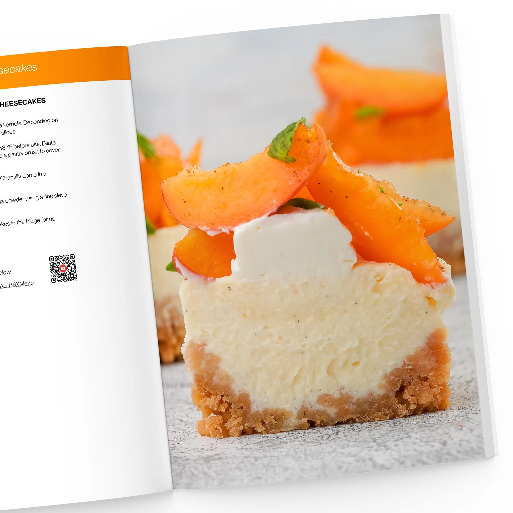 Individual apricot cheesecake recipe
