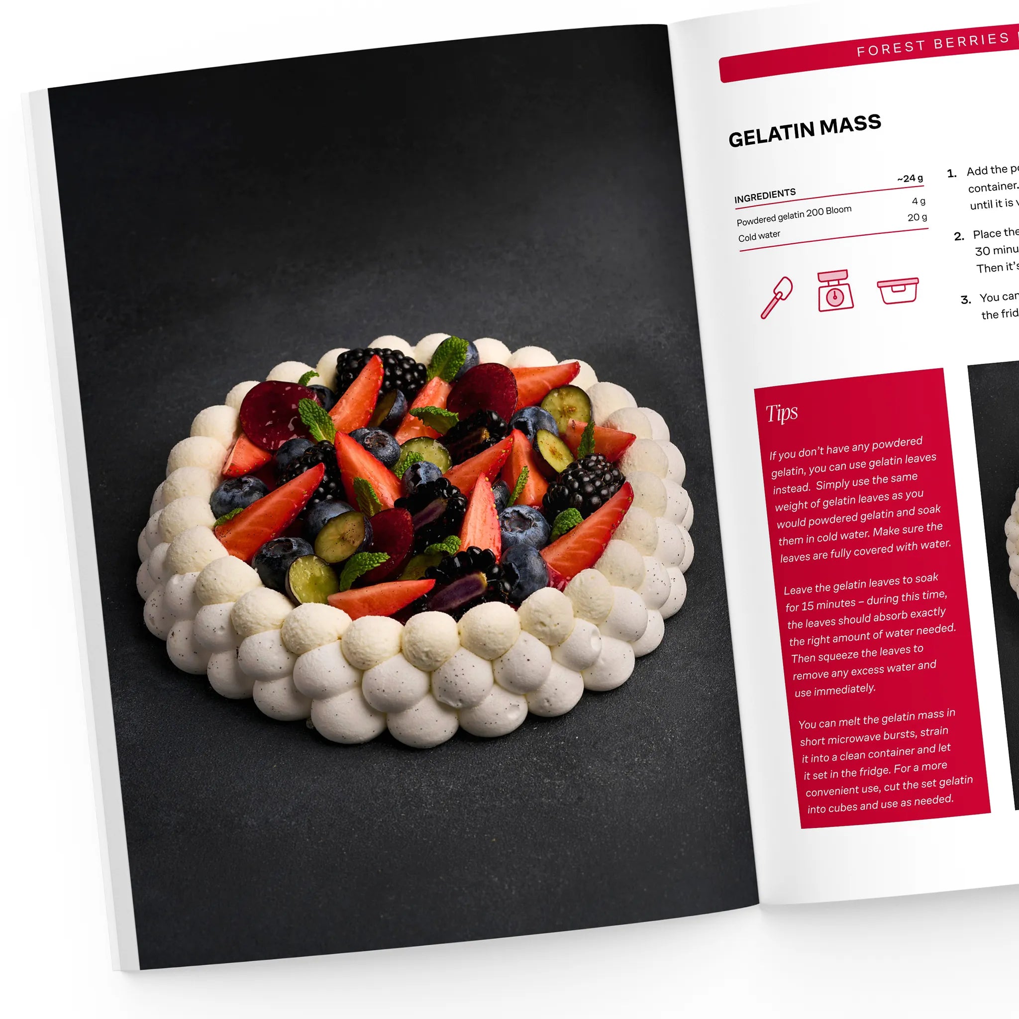 Forest Berries Pavlova dessert