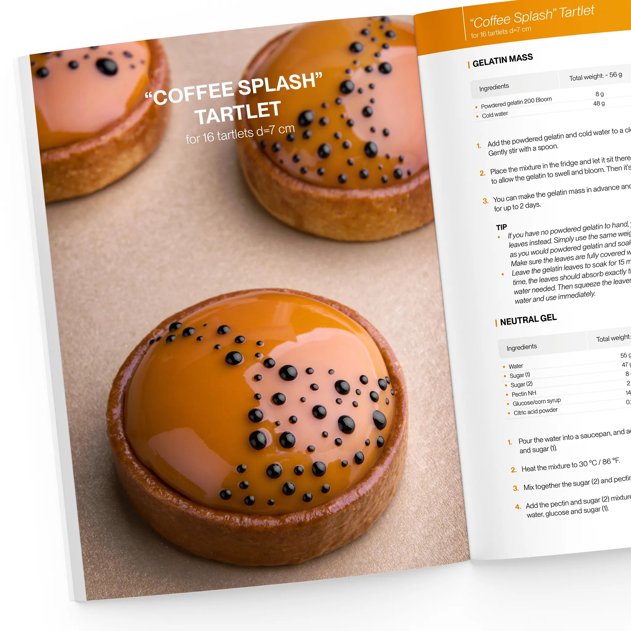 Gluten-Free Tarts ebook