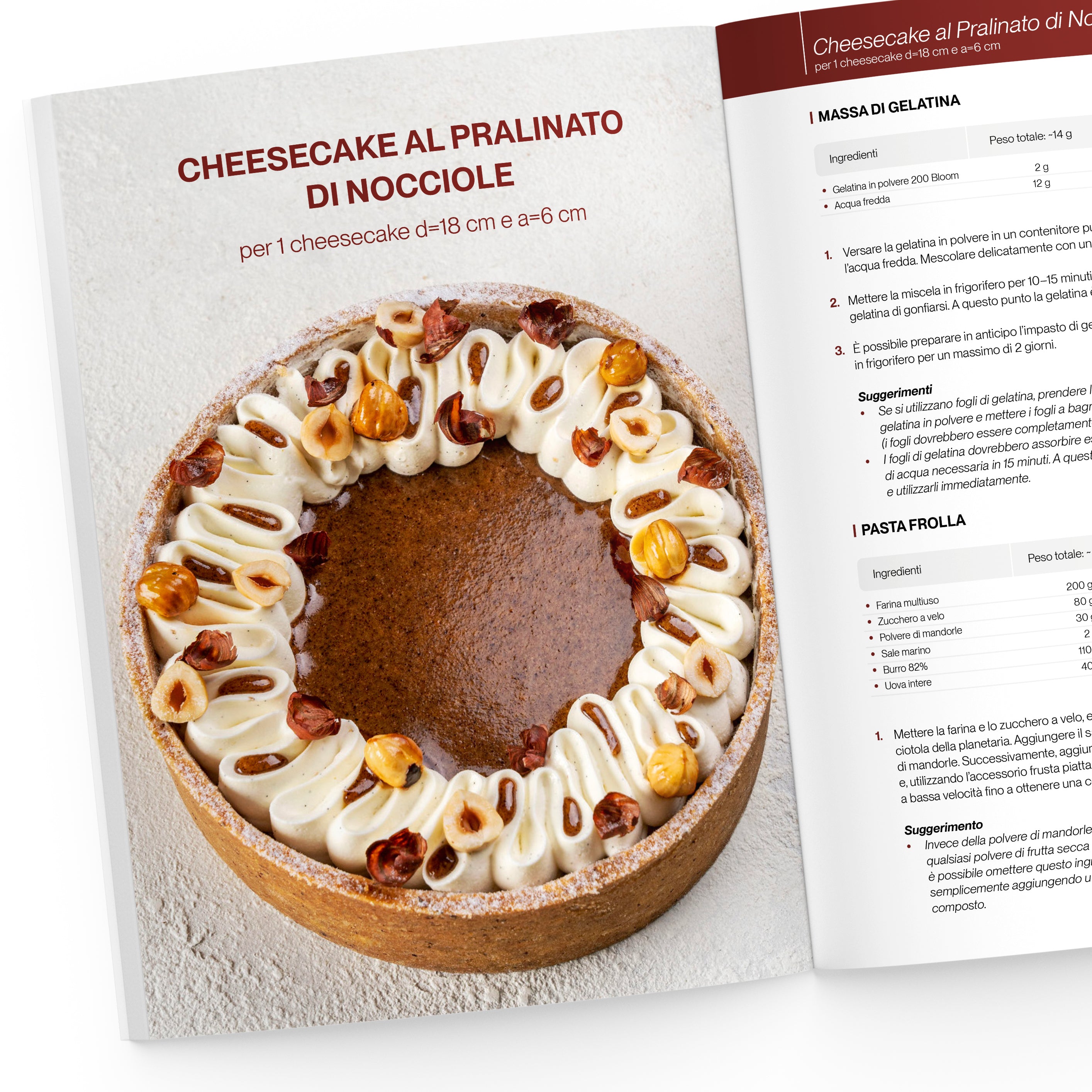 Il Grande Libro delle Cheesecake