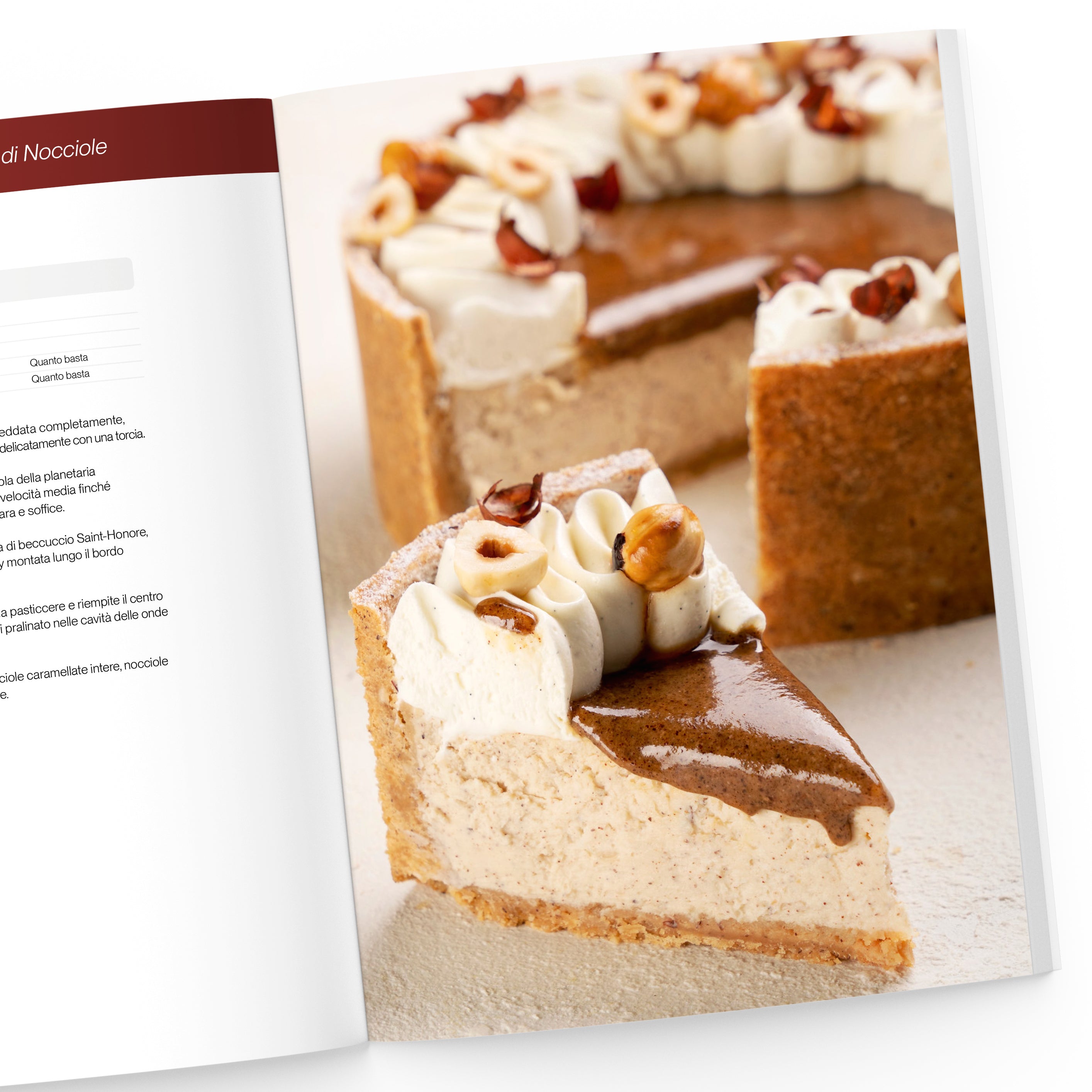 Il Grande Libro delle Cheesecake