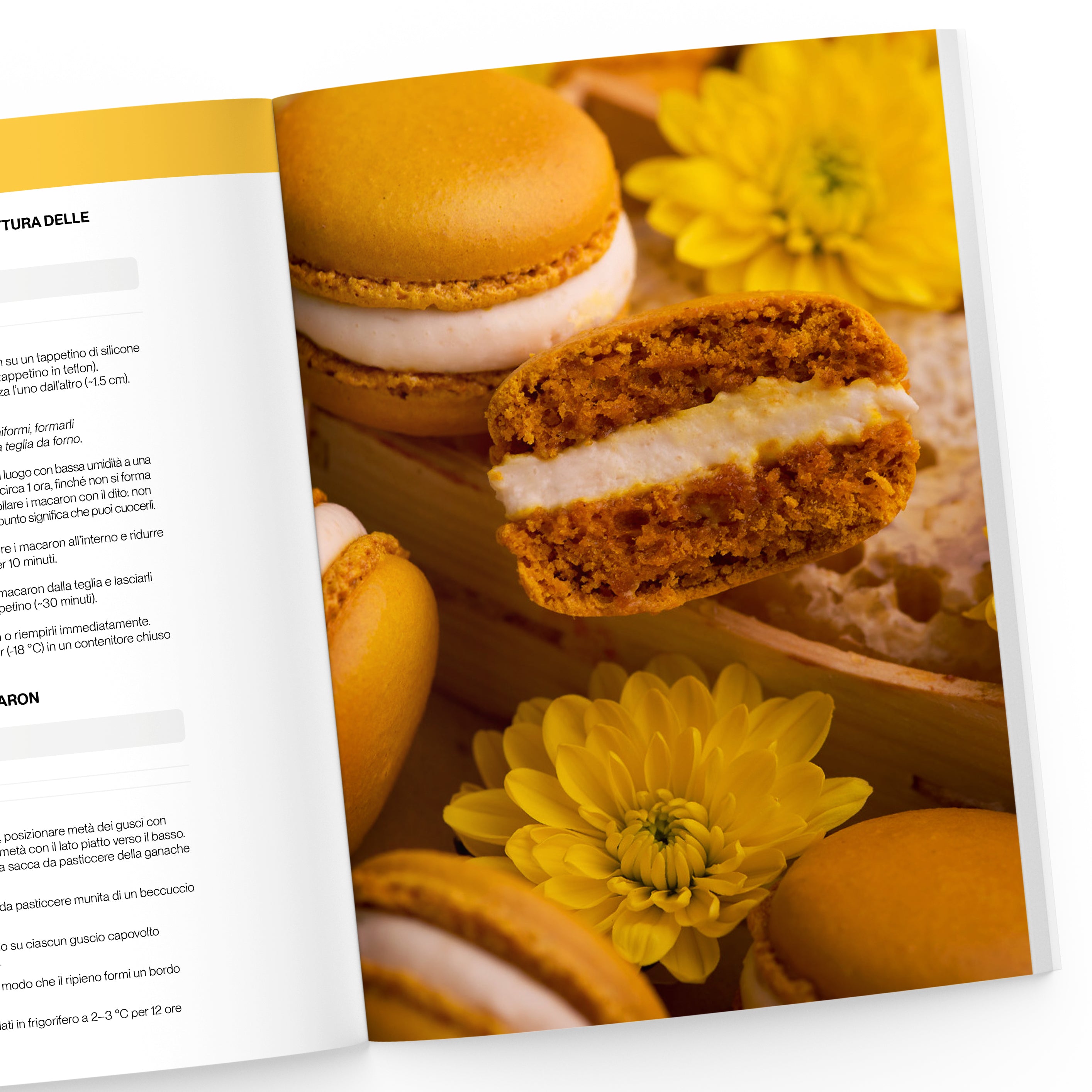 Il Grande Libro dei Macaron