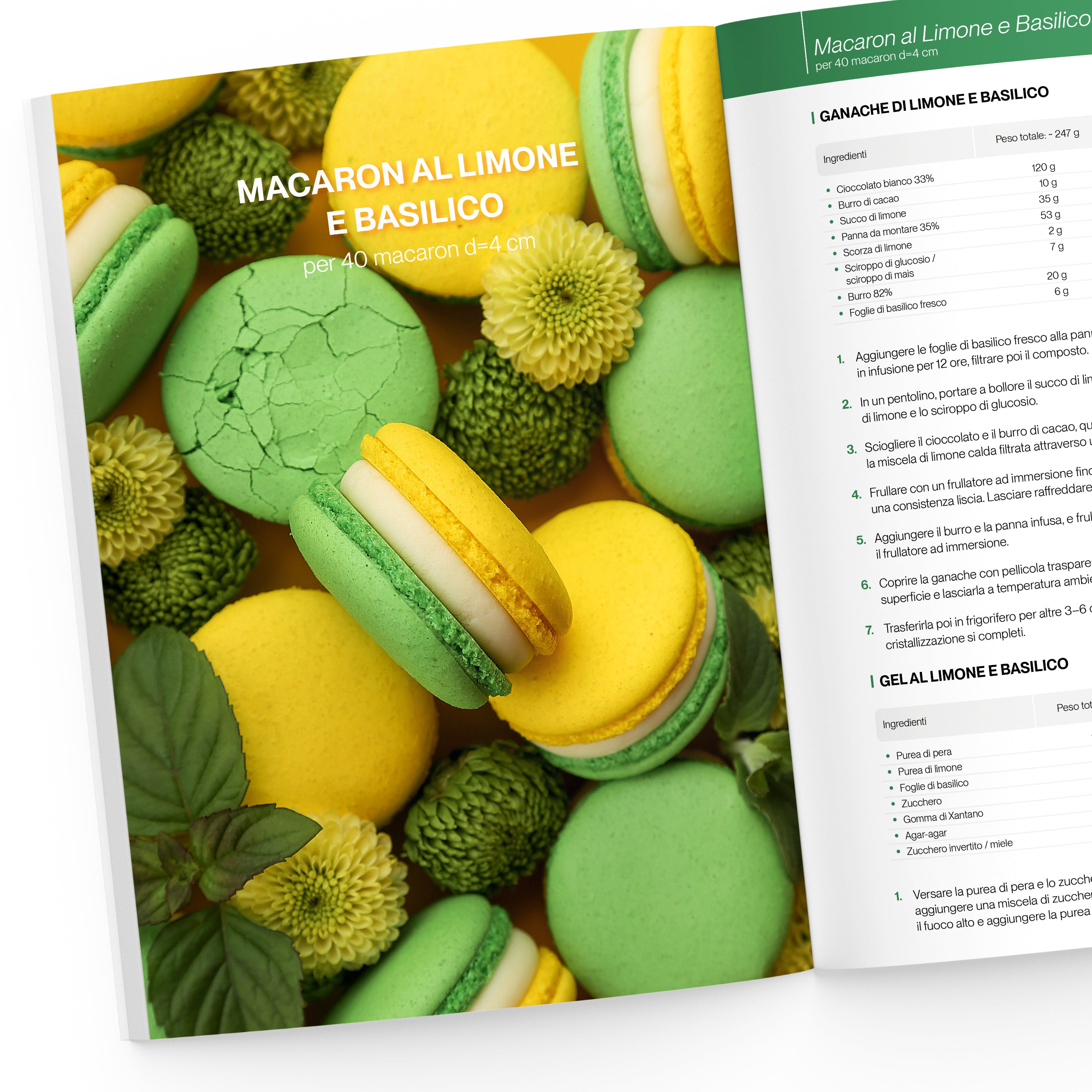 Il Grande Libro dei Macaron