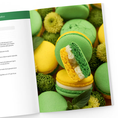 Il Grande Libro dei Macaron