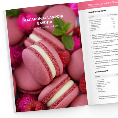 Il Grande Libro dei Macaron