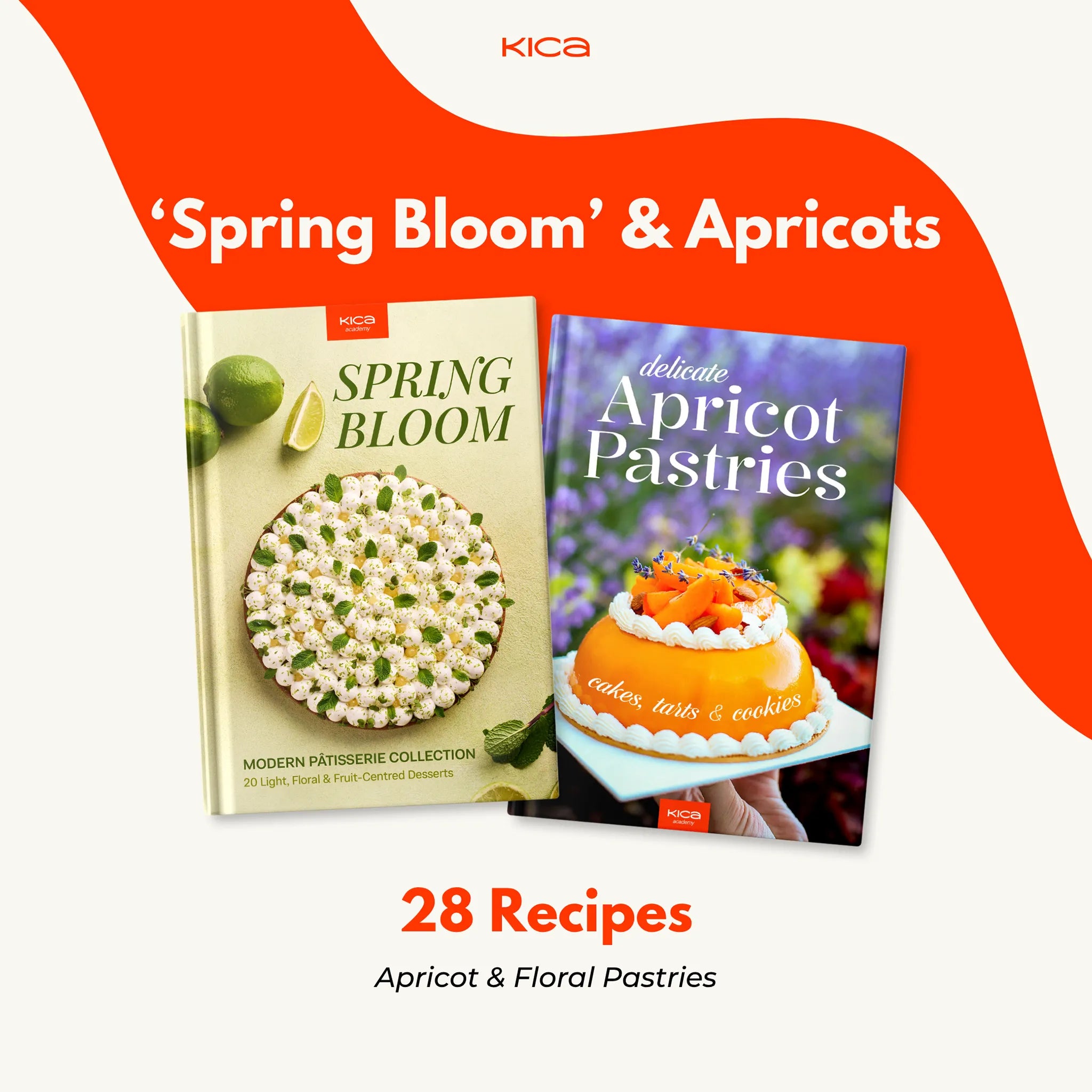 Spring Bloom Apricots
