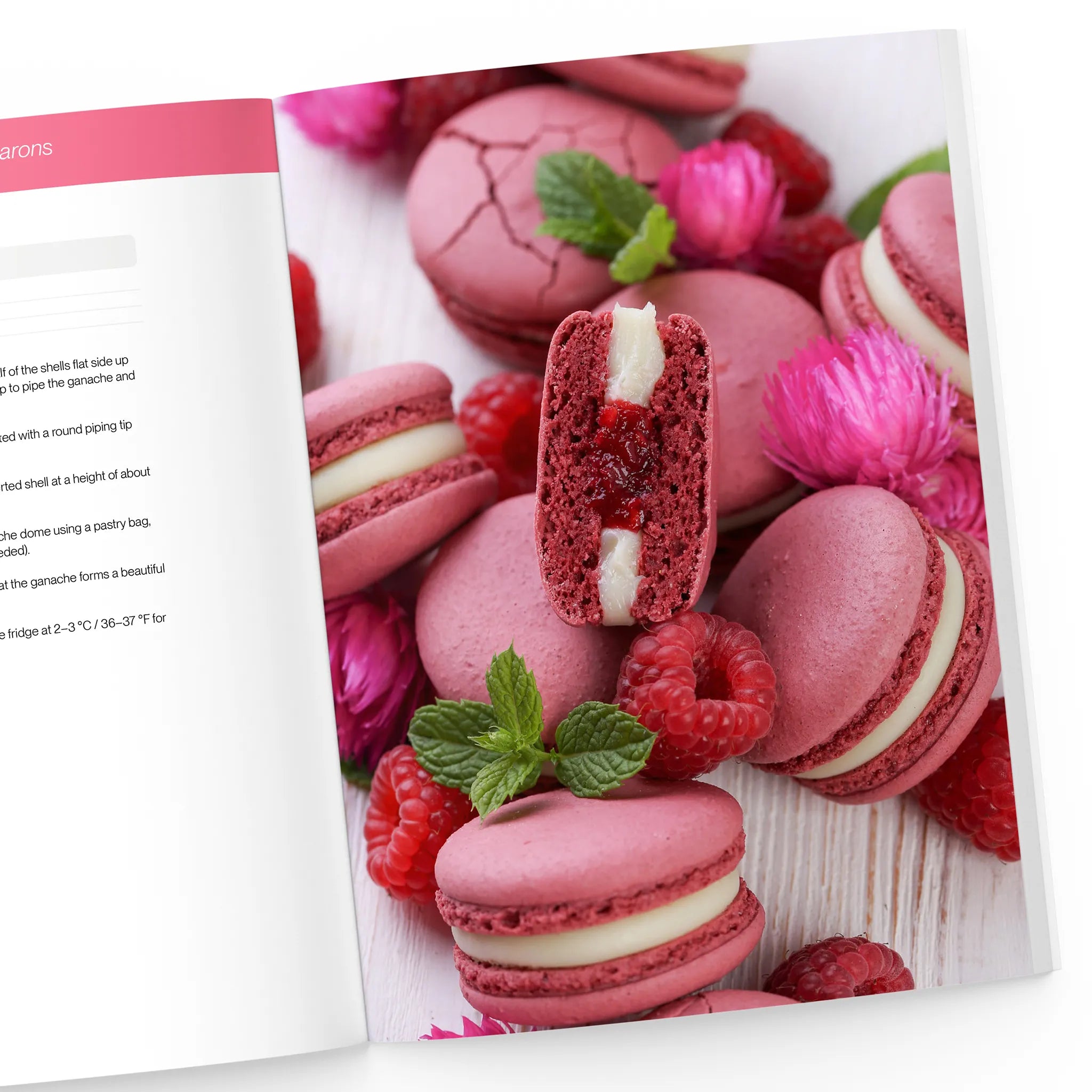 Raspberry and mint macaron  