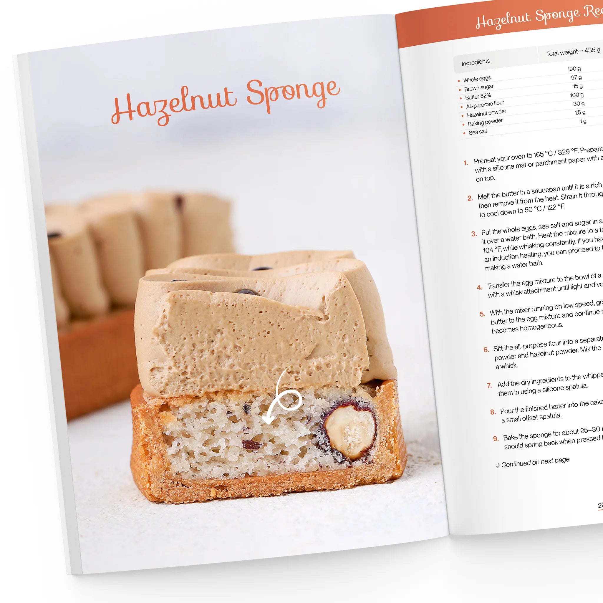 Hazelnut sponge recipe