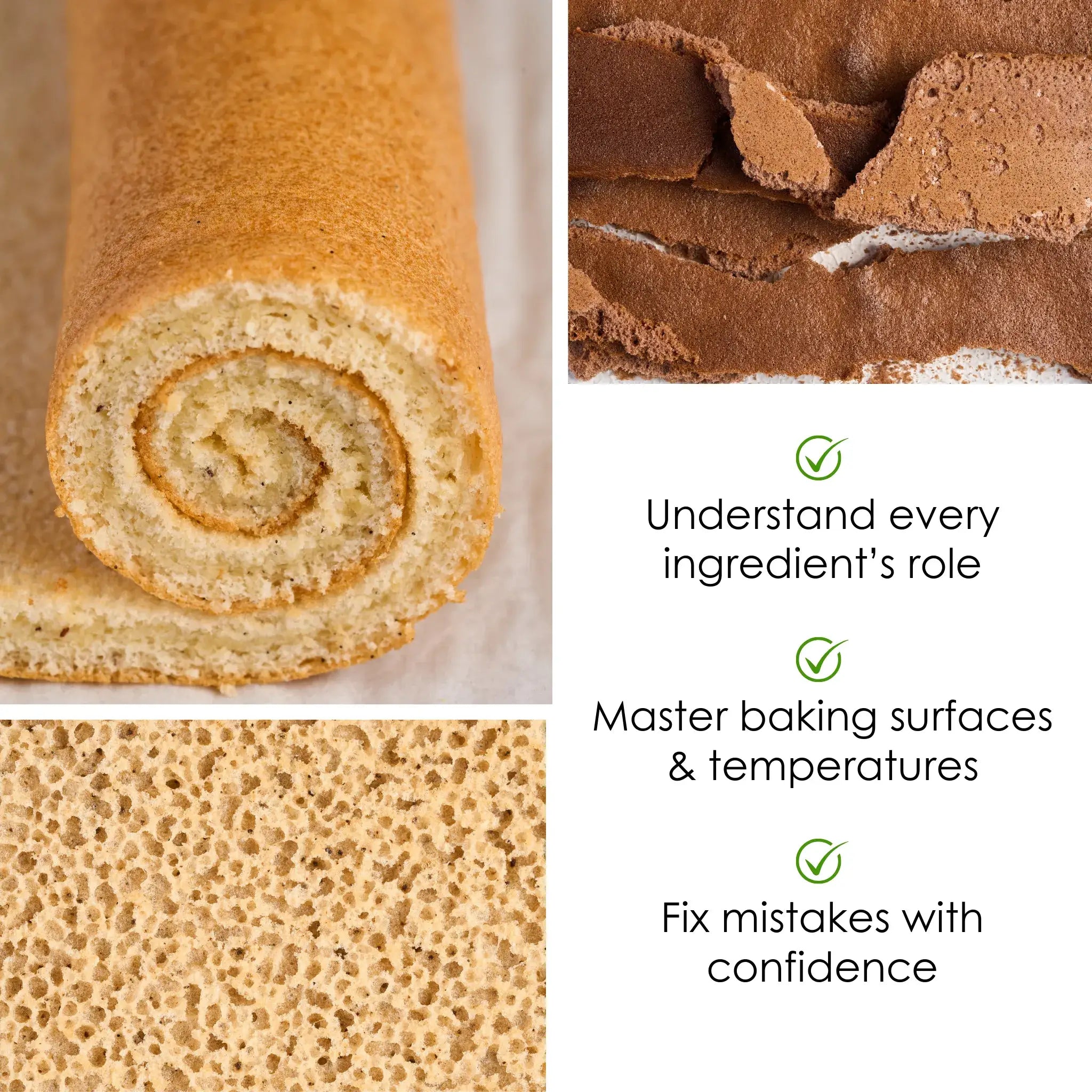 basic sponge cake 
